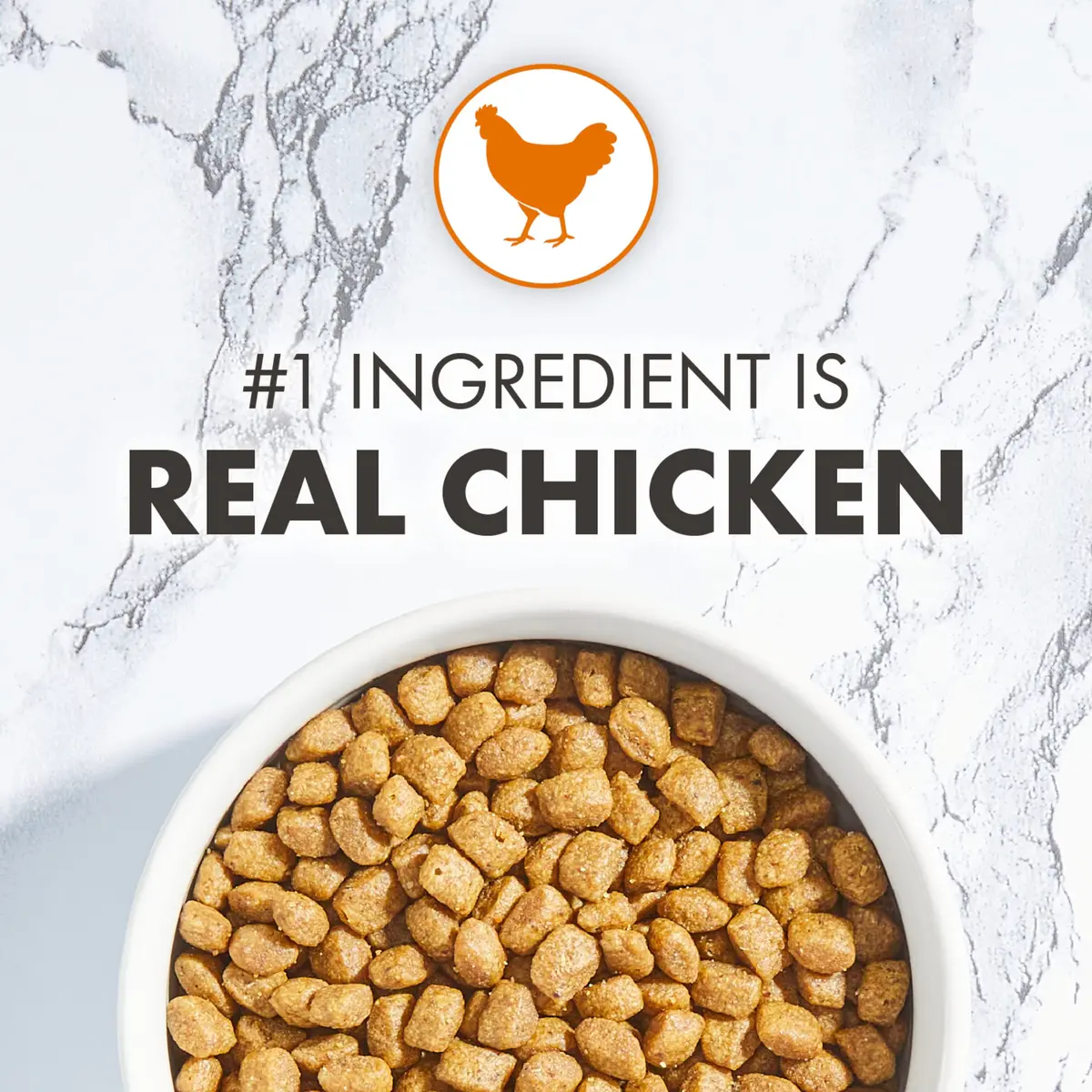 Nutro Wholesome Essentials Kitten Natural Dry Cat Food for Early Development Farm-Raised Chicken & Brown Rice Recipe, 3 lb. Bag (Pack of 2) | Supports Growth & Immunity - view 3