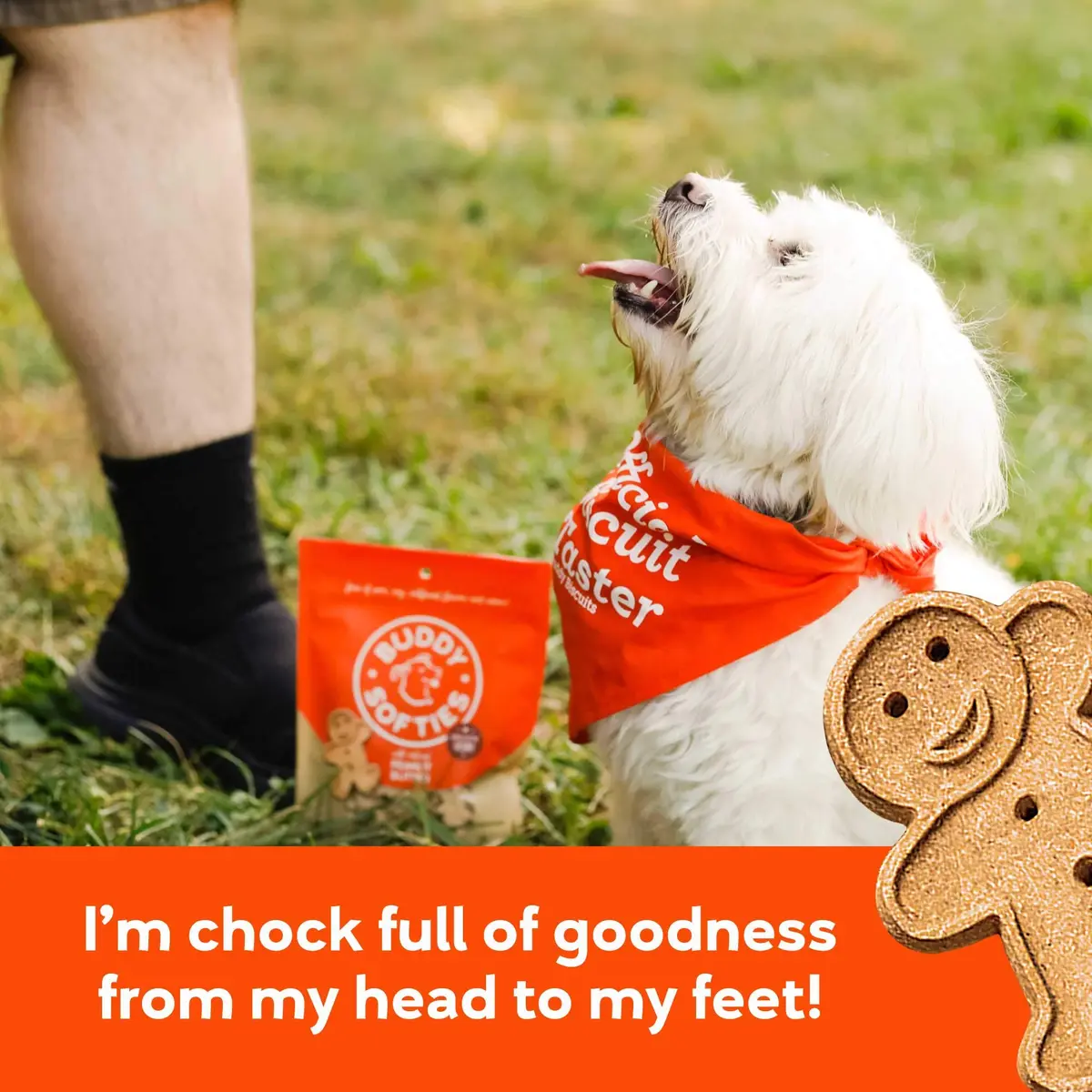 Buddy Biscuits Peanut Butter Dog Treats 8 oz Pouch | Soft & Chewy, Oven Baked in The USA - view 4