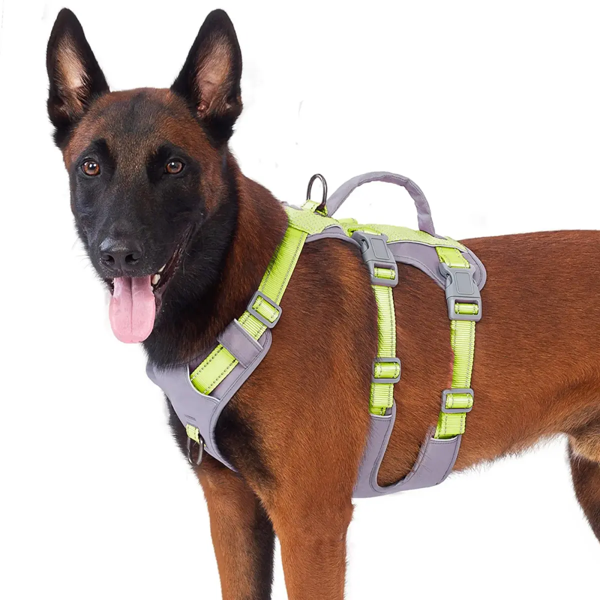 Huntboo Escape Proof Dog Harness with Lift Handle, Bright Green L | Breathable, Reflective, Adjustable Vest for Large Dogs - main product image