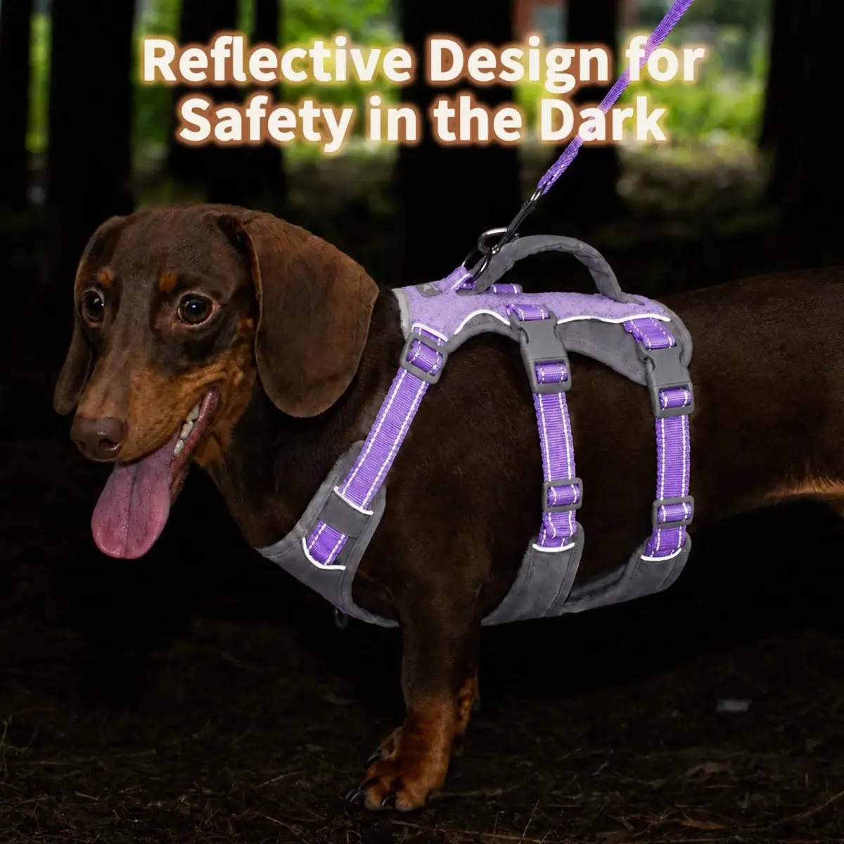 Huntboo Escape Proof Dog Harness with Handle, Lavender Purple, Size S | No-Pull, Breathable, Reflective, Adjustable Lift Harness for Small, Medium, Large Dogs - view 3