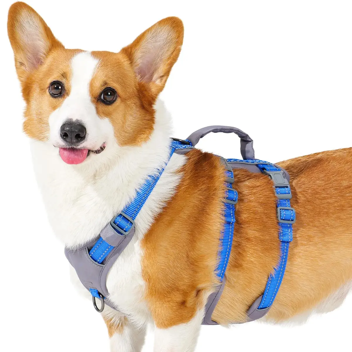 Huntboo Escape Proof Dog Harness with Lift Handle, Sea Blue M | Breathable, Reflective, Adjustable Vest for Small, Medium, Large Dogs - main product image