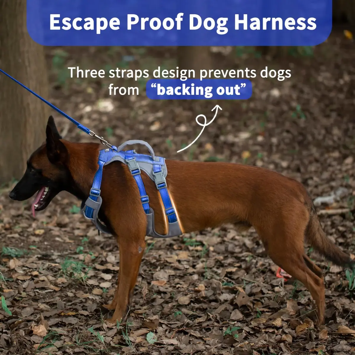Huntboo Escape Proof Dog Harness with Lift Handle, Sea Blue M | Breathable, Reflective, Adjustable Vest for Small, Medium, Large Dogs - view 3