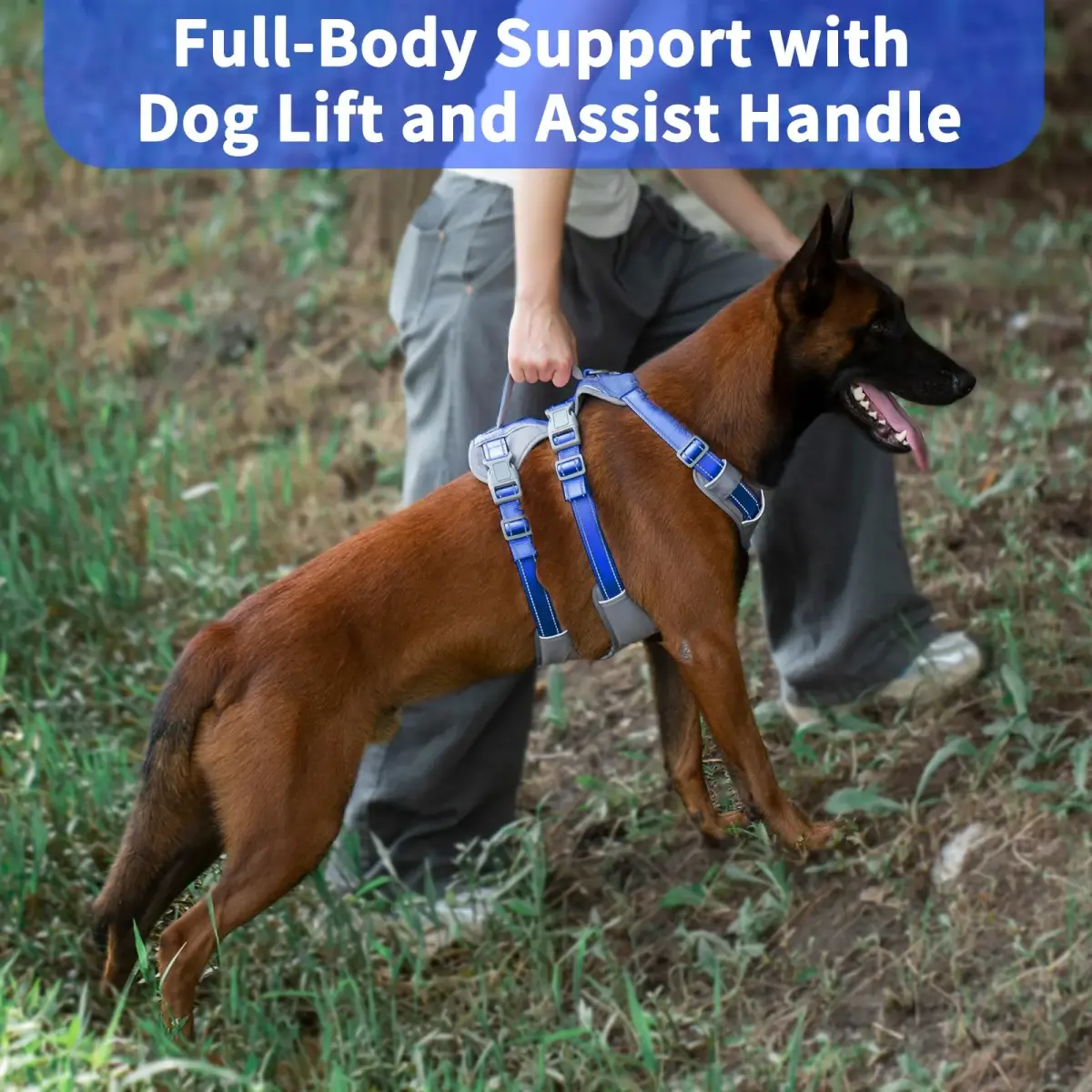 Huntboo Escape Proof Dog Harness with Lift Handle, Sea Blue M | Breathable, Reflective, Adjustable Vest for Small, Medium, Large Dogs - view 4