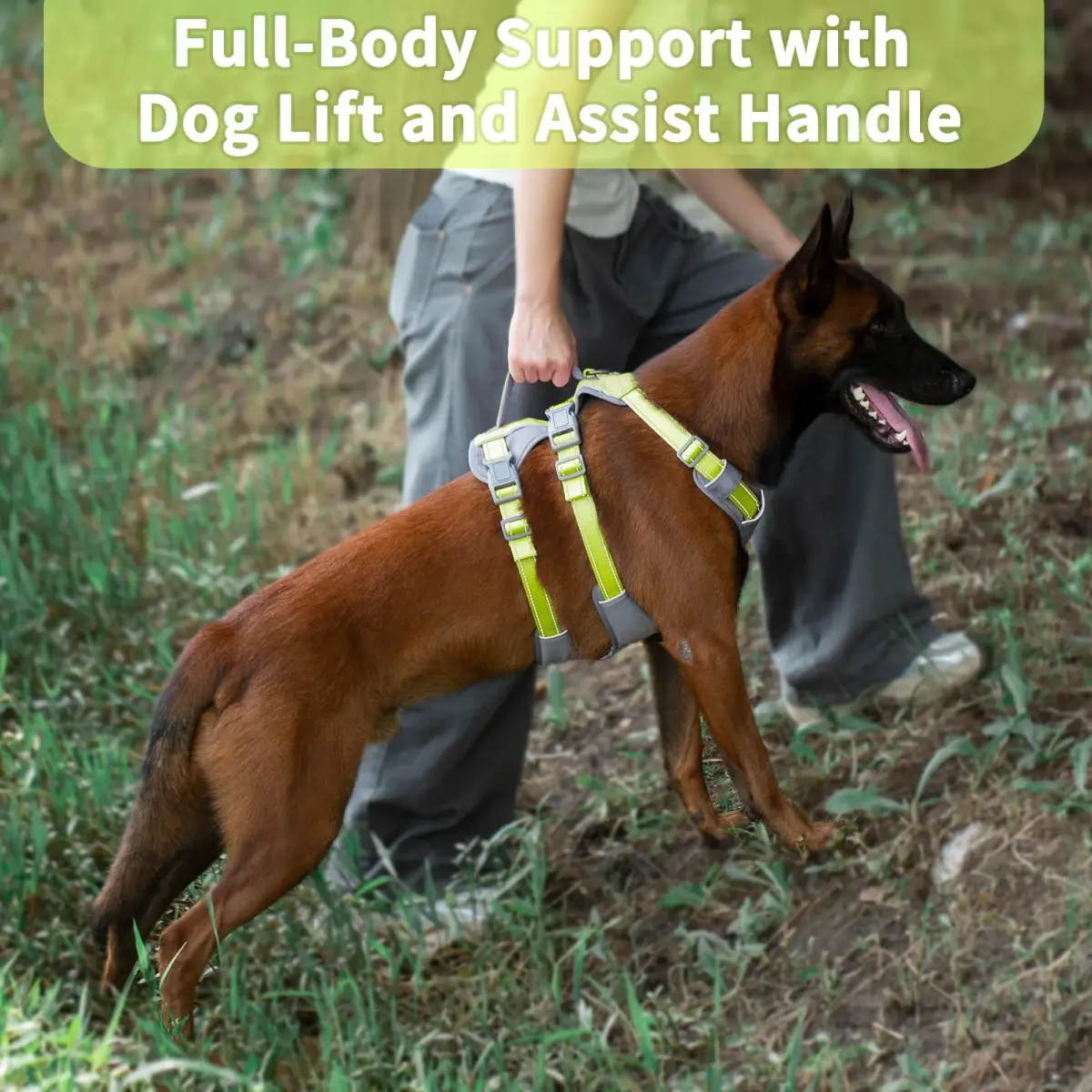 Huntboo Escape Proof Dog Harness with Handle, Bright Green M | No-Pull, Breathable, Reflective, Adjustable Lift Harness for Dogs - view 4