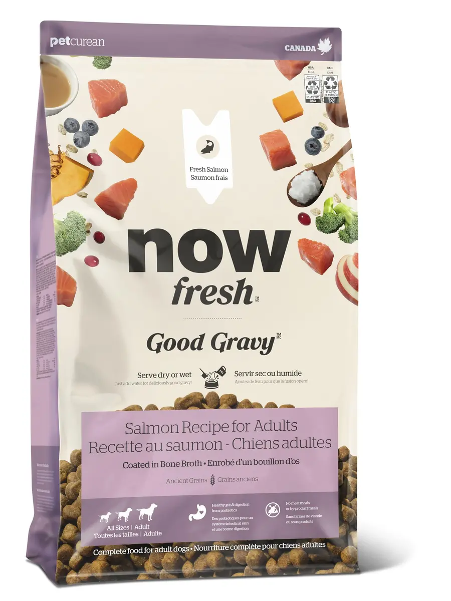 Now Fresh Good Gravy Salmon Recipe Dog Food 22 lb | Bone Broth Coated Kibble for All Sizes - main product image