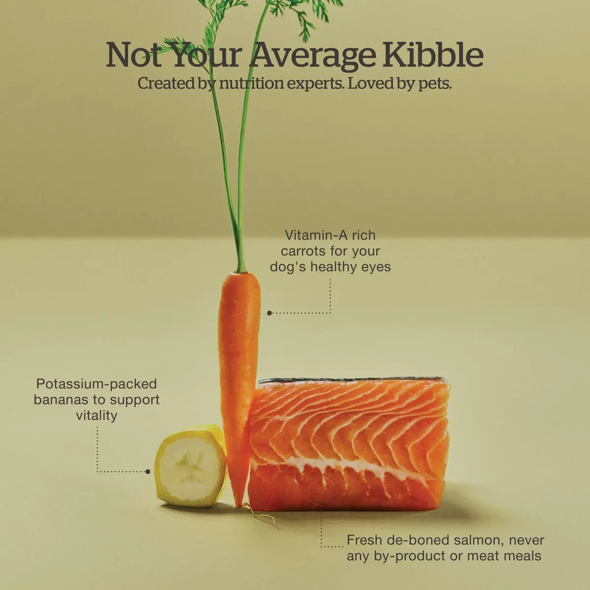 Now Fresh Good Gravy Salmon Recipe Dog Food 22 lb | Bone Broth Coated Kibble for All Sizes - view 5