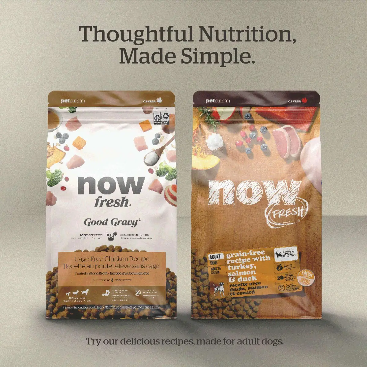 Now Fresh Good Gravy Salmon Recipe Dog Food 22 lb | Bone Broth Coated Kibble for All Sizes - view 6
