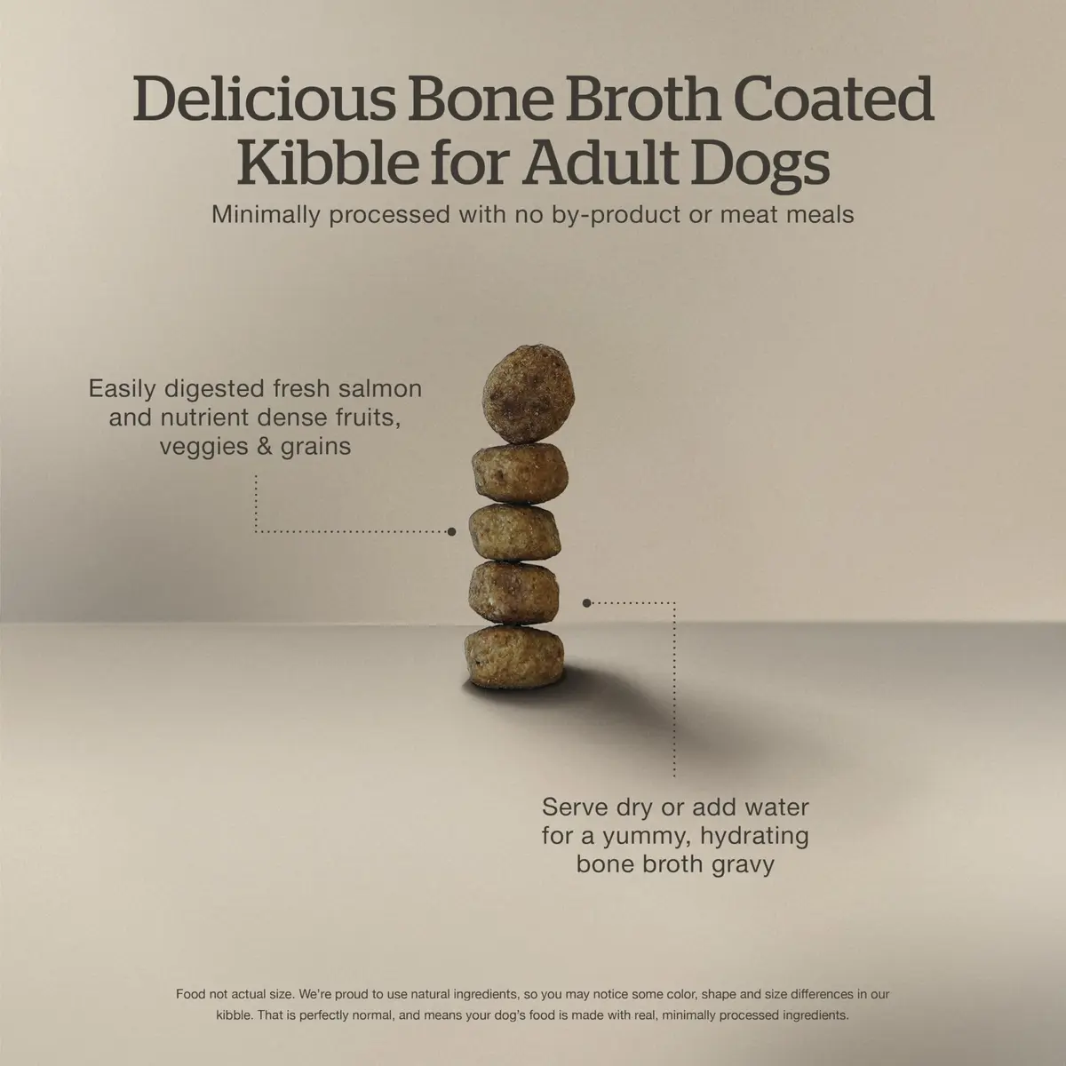 Now Fresh Good Gravy Salmon Recipe Dog Food 22 lb | Bone Broth Coated Kibble for All Sizes - view 4