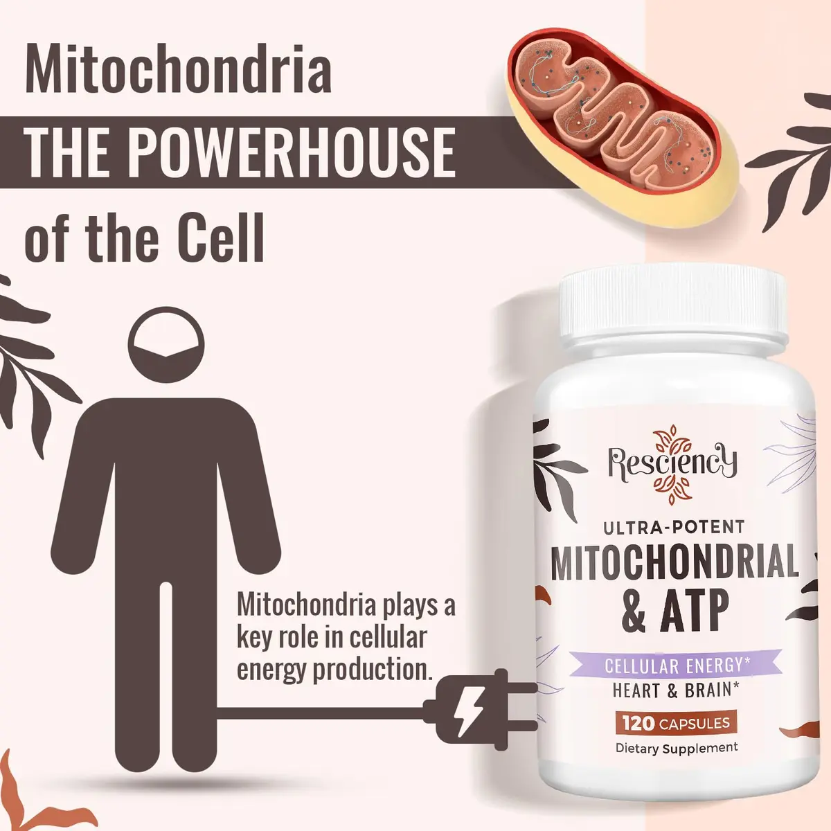 Resciency 2326 MG Mitochondrial Supplements with ATP, Vitamins, CoQ10 & PQQ | Organic Energy & Recovery Support - view 5