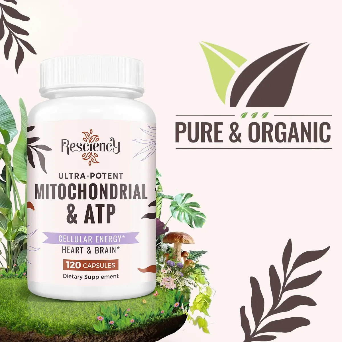 Resciency 2326 MG Mitochondrial Supplements with ATP, Vitamins, CoQ10 & PQQ | Organic Energy & Recovery Support - view 2