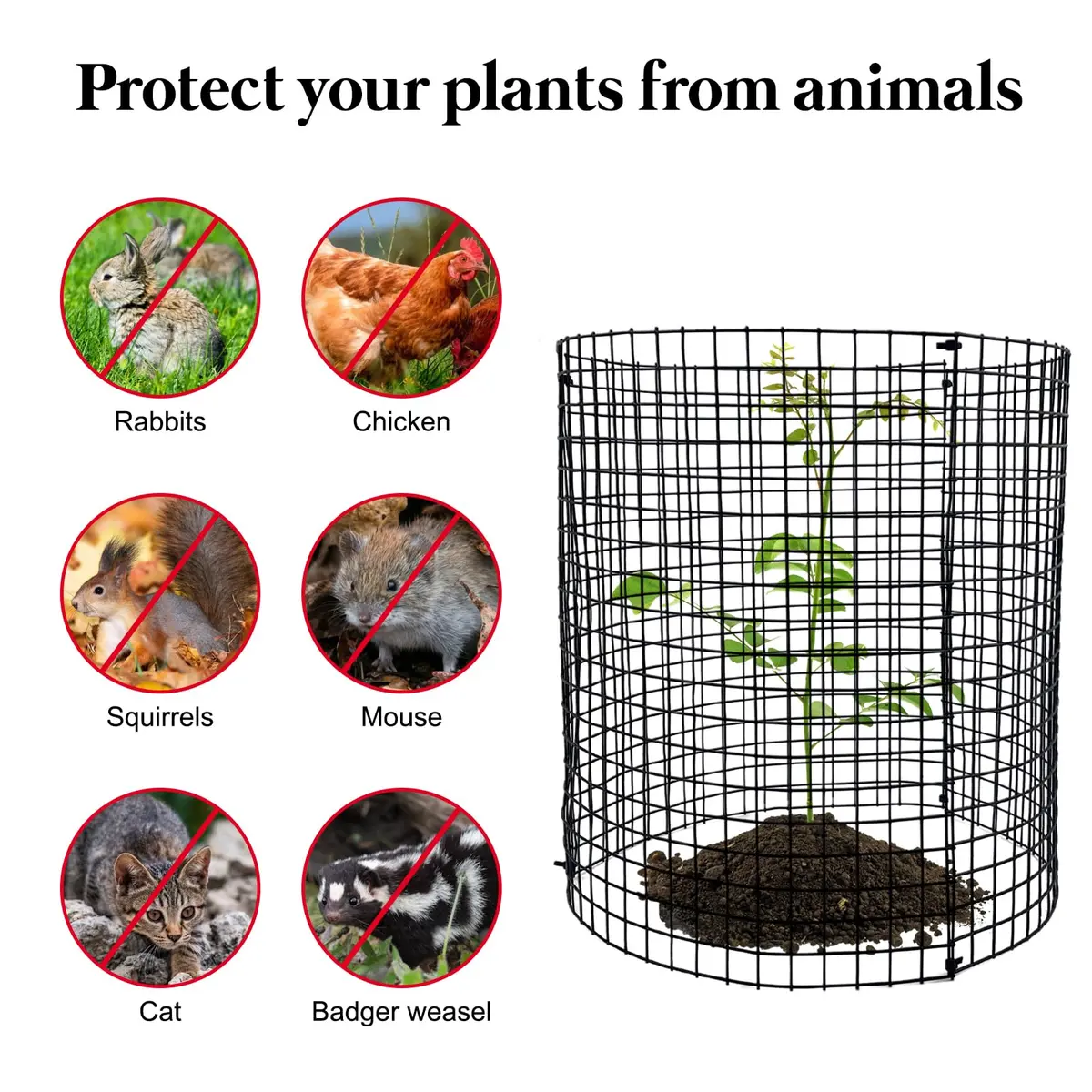 YEXEXINM Metal Plant Protector 12'' x 12'' | Garden Animal Barrier for Small Plants - view 4