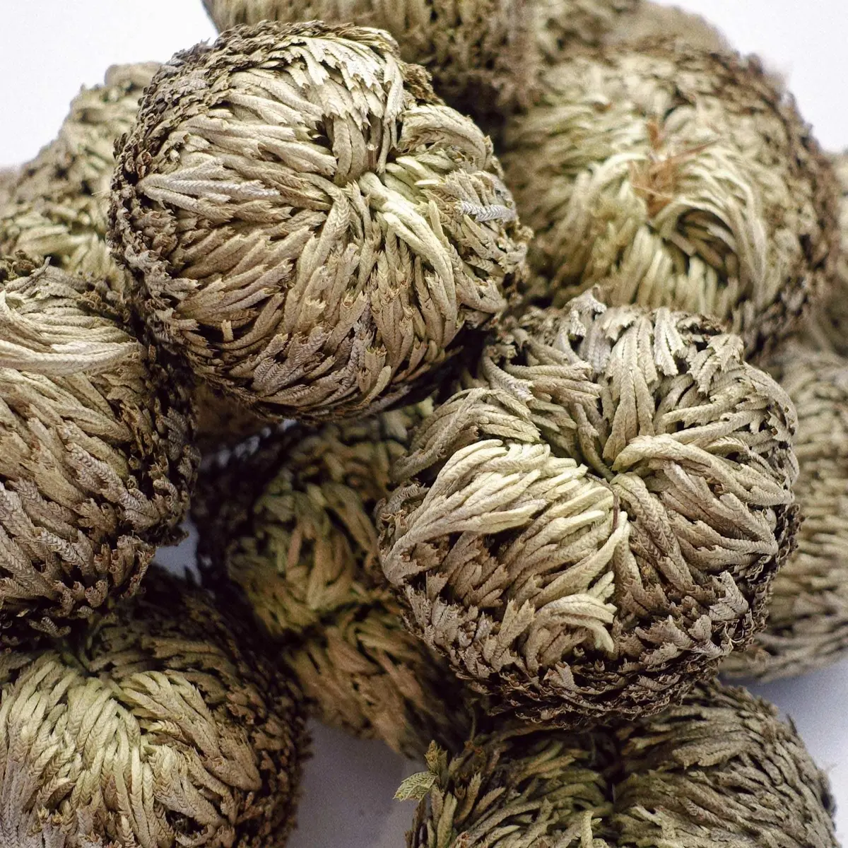 EquSym 7 Pack Rose of Jericho Dried Plants 2.5-3.5in | Natural Resurrection Plant for Spiritual Purification & Home Decor - view 7