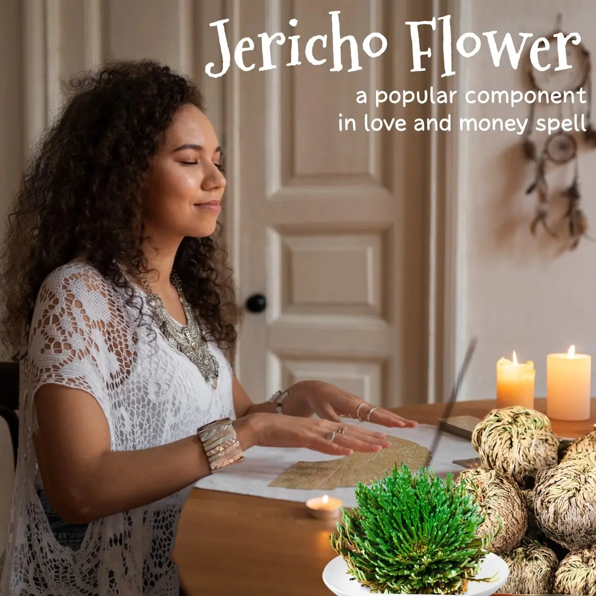 EquSym 7 Pack Rose of Jericho Dried Plants 2.5-3.5in | Natural Resurrection Plant for Spiritual Purification & Home Decor - view 3
