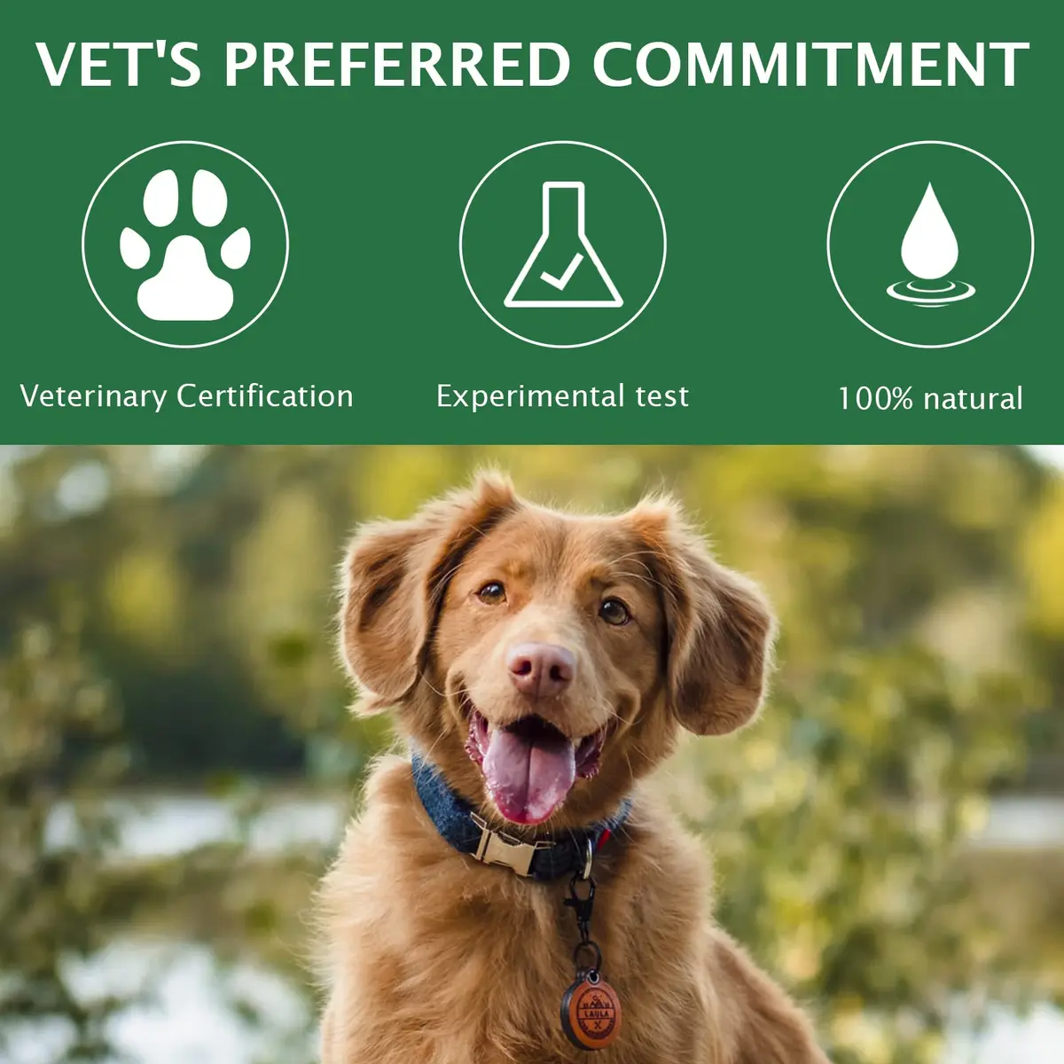 QRZBPZWE Pet Eye Drops for Dogs & Cats 60ml (2 Fl Oz) | Gentle Relief for Itching, Irritation & Allergies - view 2