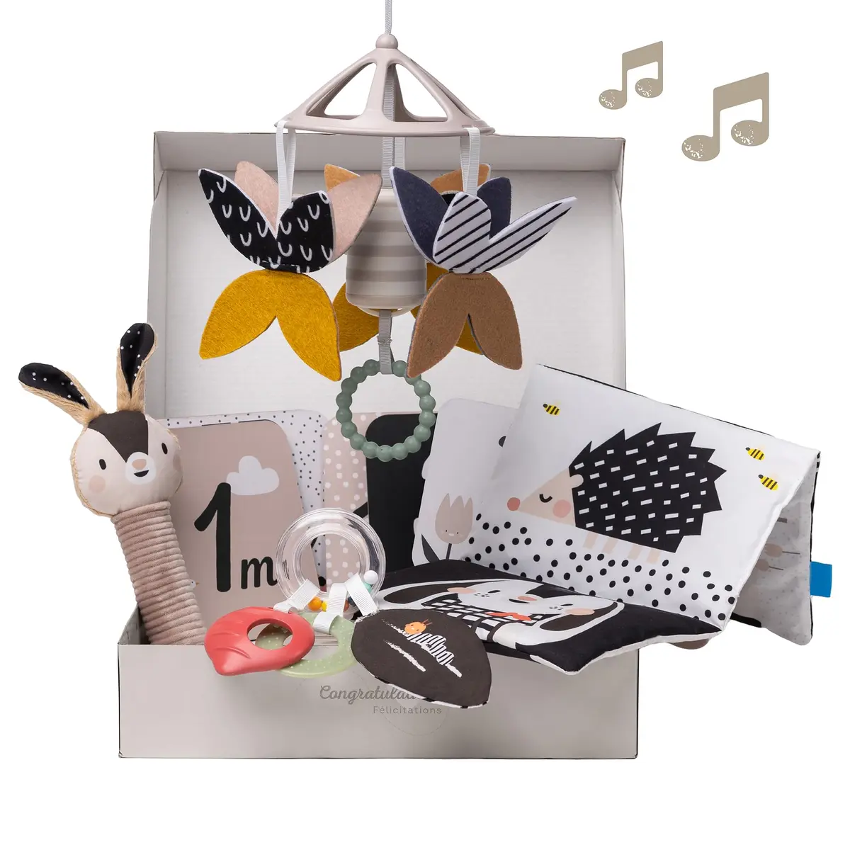 Taf Toys High Contrast Black and White Baby Toys Kit - 10 Developmental Infant Toys for Newborn - Sensory & Tummy Time Toys - BPA, Phthalate, PVC-Free | Supports Early Visual & Motor Growth - main product image