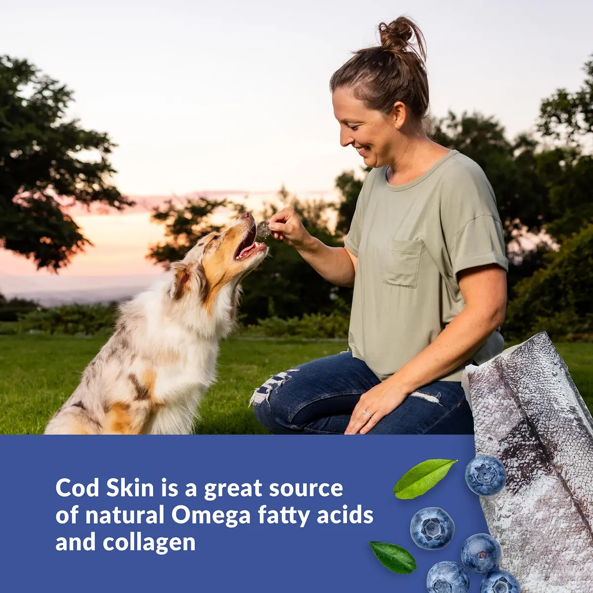 Wild Eats Cod Skins Dog Treats with Blueberry | Natural Superfood Snack for Dogs - view 5