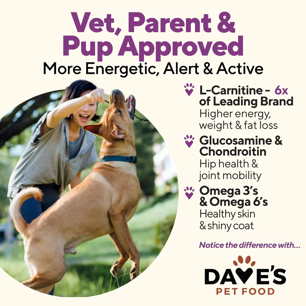 Dave's Pet Food Weight Management Dog Food, Turkey & Vegetables, 13.2 oz | Supports Weight Loss & Energy - view 5
