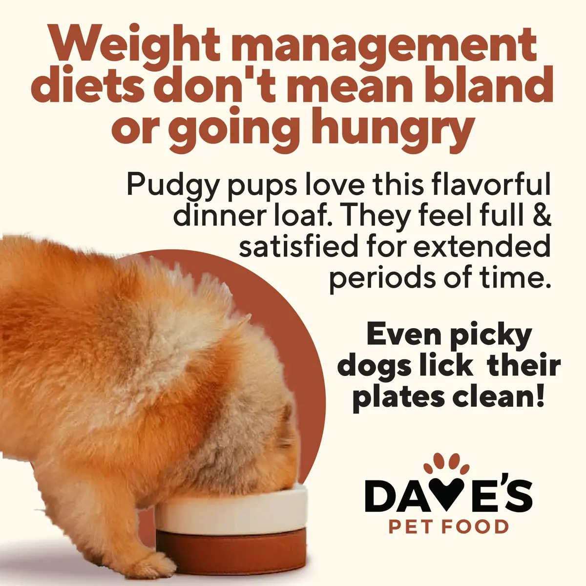 Dave's Pet Food Weight Management Dog Food, Turkey & Vegetables, 13.2 oz | Supports Weight Loss & Energy - view 4