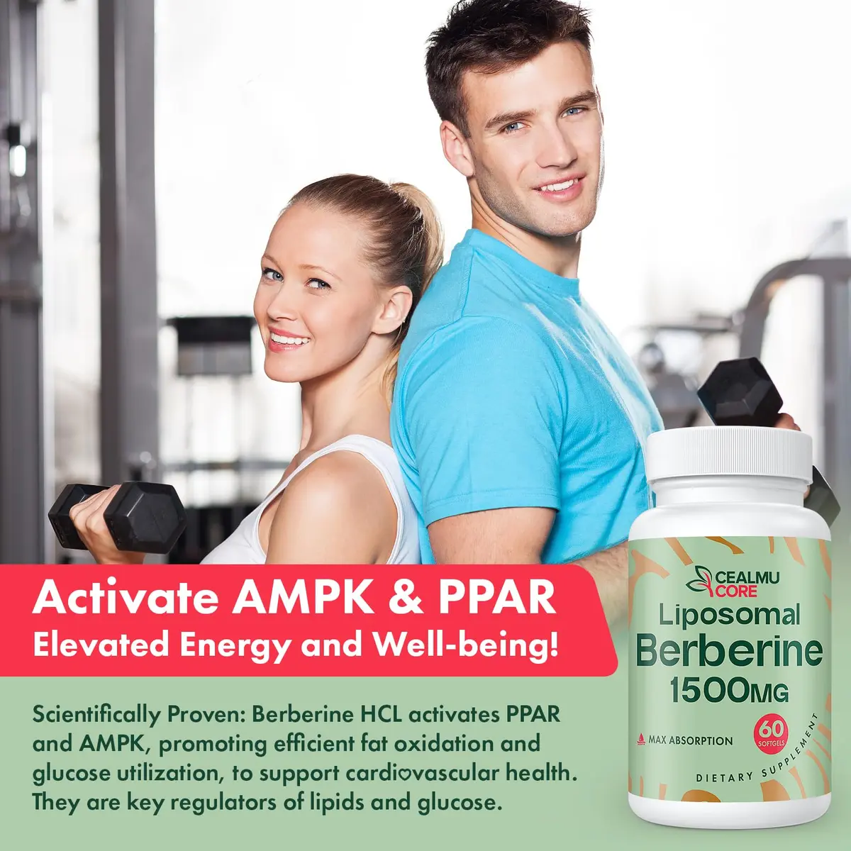CEALMU CORE Liposomal Berberine HCL 60 Count | High Bioavailability Supplement for Adults - view 5