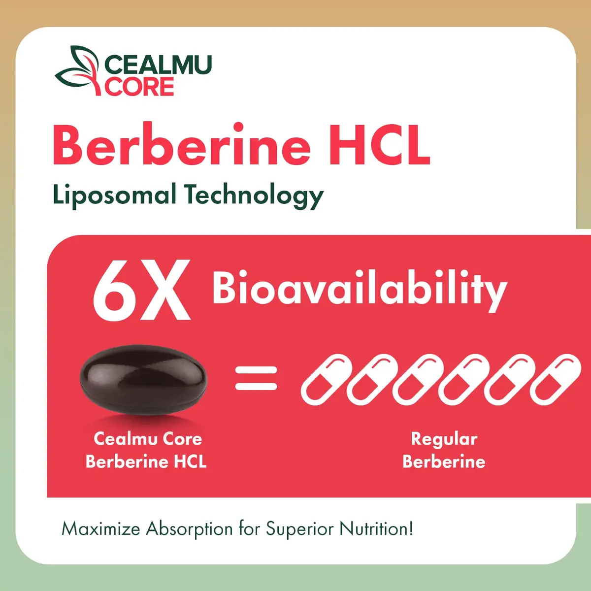 CEALMU CORE Liposomal Berberine HCL 60 Count | High Bioavailability Supplement for Adults - view 7