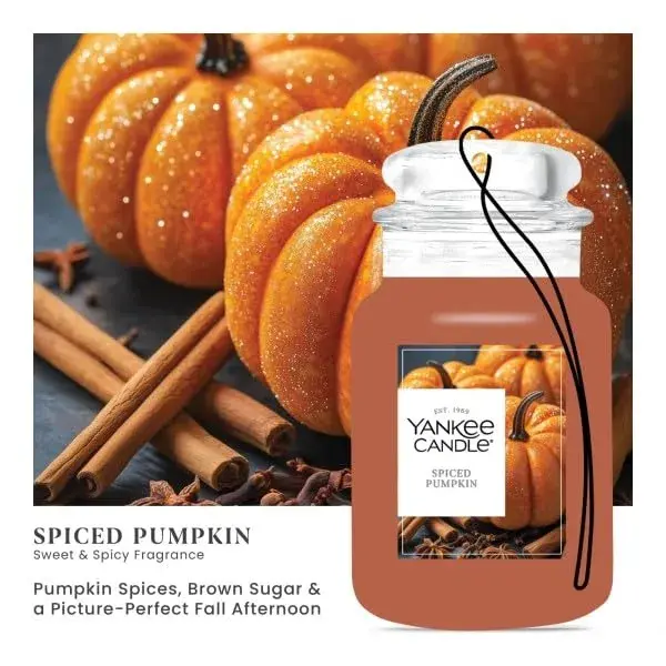 Yankee Candle Spiced Pumpkin Paper Car Jar Air Freshener 10 Fl Oz (Pack of 10) | Long-Lasting Odor Neutralizing Fragrance - view 4