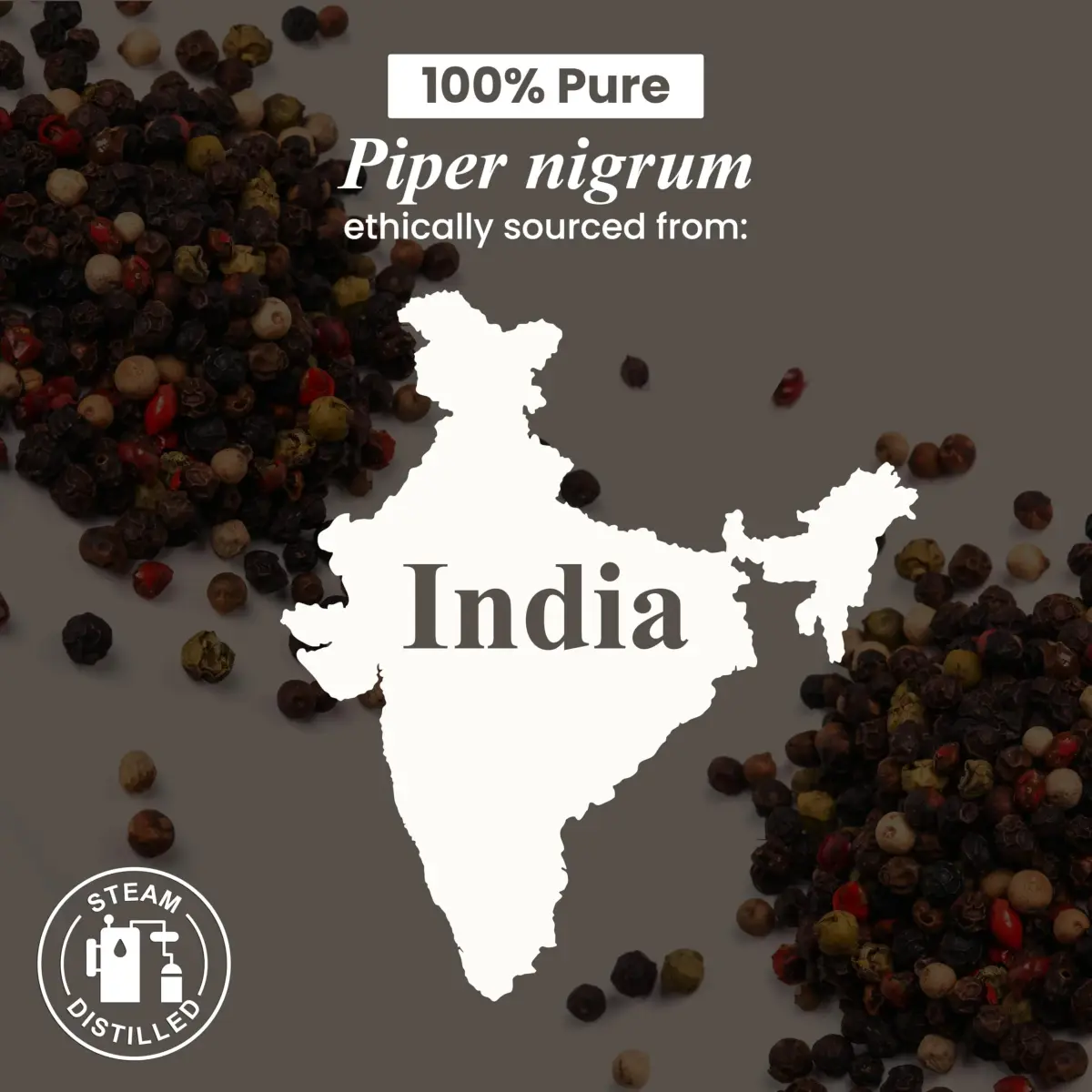 Handcraft Blends Black Pepper Essential Oil 30ml (1 Fl Oz) | Pure, Natural, Premium Grade for Diffuser & Soap Making - view 5