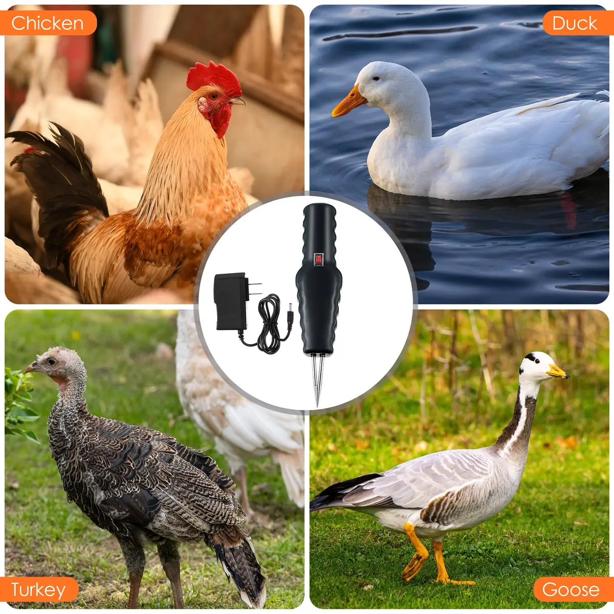 Saillong Handheld Chicken Plucker 1 Pack Black | Removes Pin Feathers Efficiently - view 7