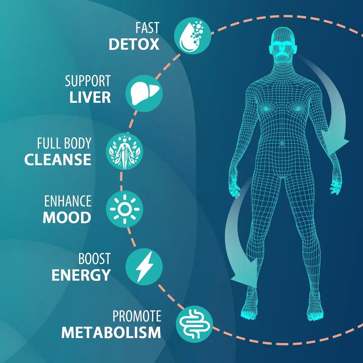 MythoTecq 90,000 MG Detox & Cleanse Capsules | Natural Herbal Liver & Kidney Support, 60 Caps - view 4