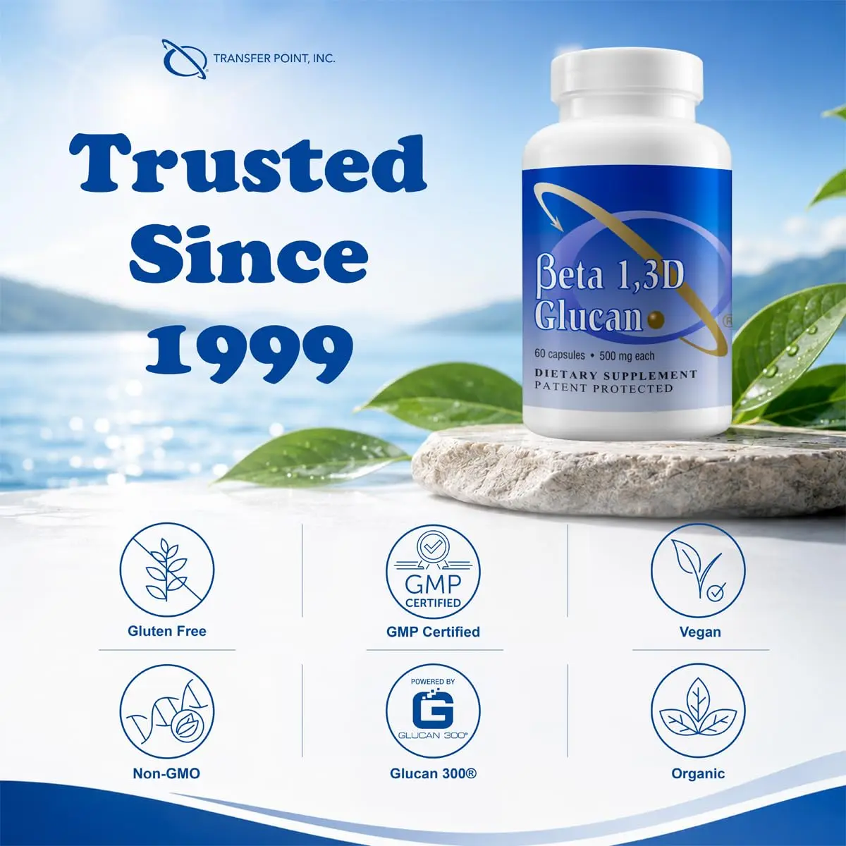Transfer Point Beta 1,3D Glucan Immune Support Supplement 500 mg (120 Capsules, Pack of 2) | Yeast-Derived Immune Support - view 4