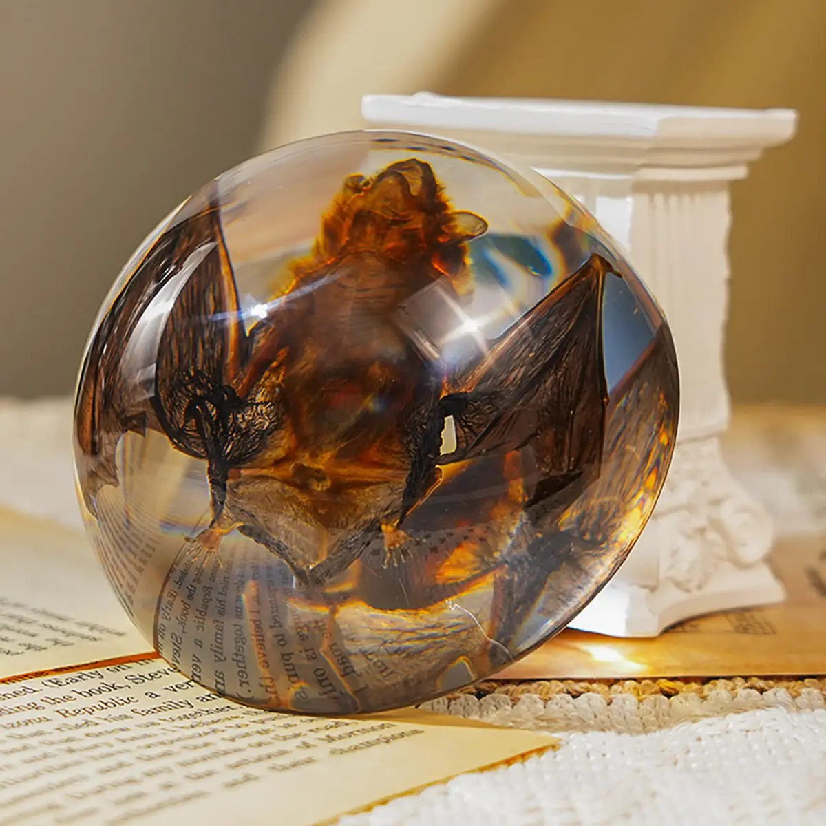 WAVEBEEXS Taxidermy Bat in Resin | Gothic Animal Specimen for Education & Decor - main product image