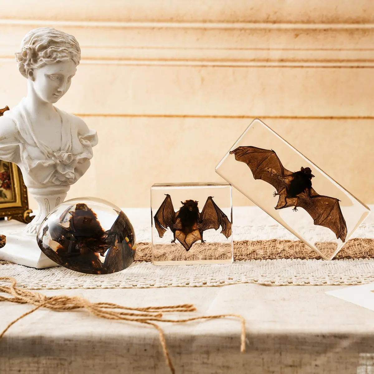 WAVEBEEXS Taxidermy Bat in Resin | Gothic Animal Specimen for Education & Decor - view 6