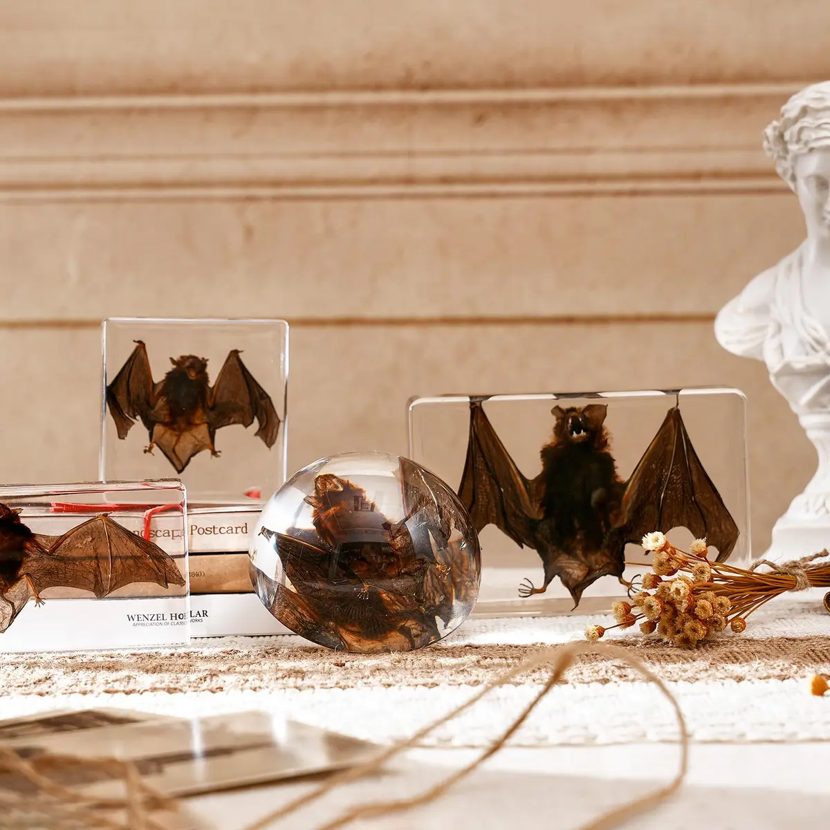 WAVEBEEXS Taxidermy Bat in Resin | Gothic Animal Specimen for Education & Decor - view 8