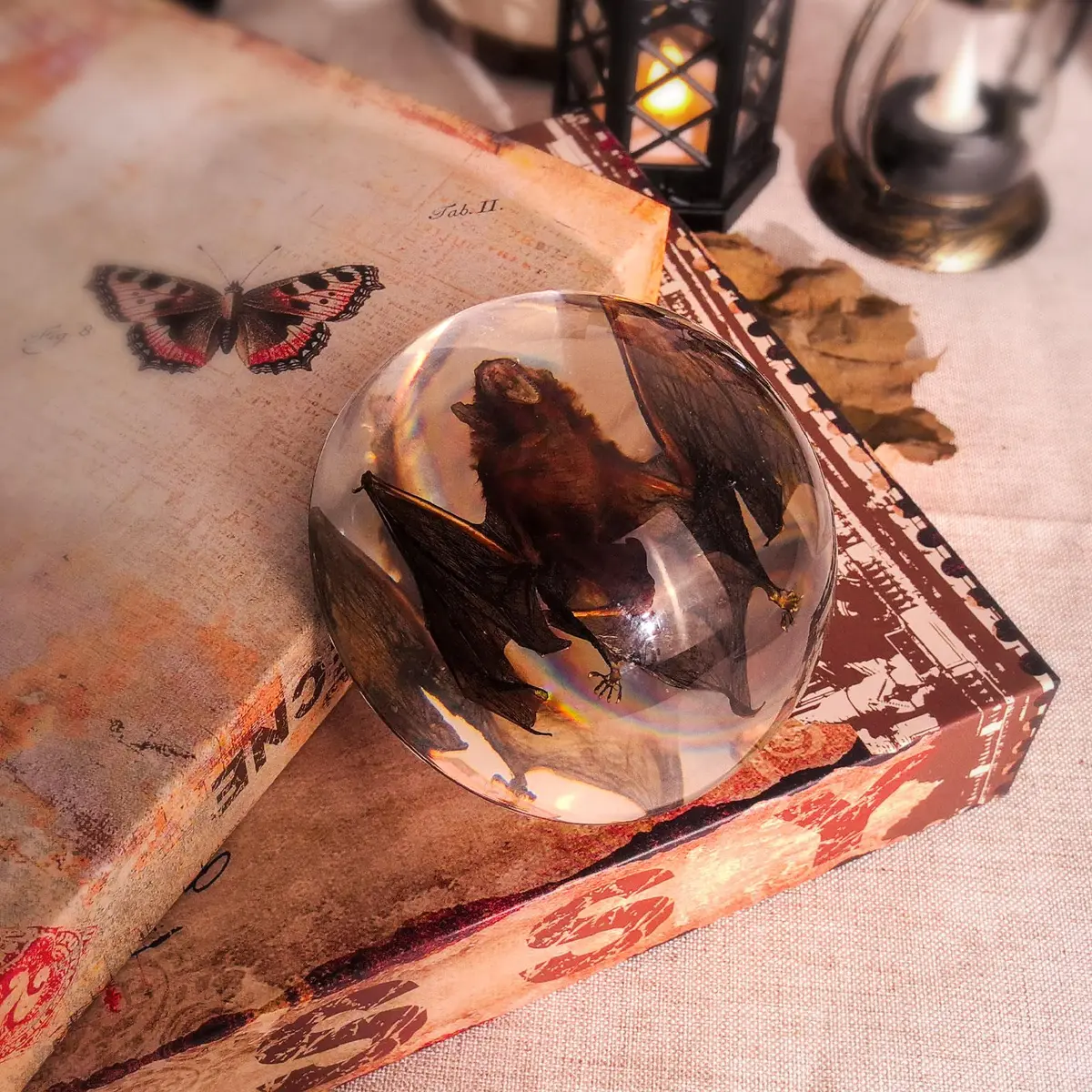 WAVEBEEXS Taxidermy Bat in Resin | Gothic Animal Specimen for Education & Decor - view 2