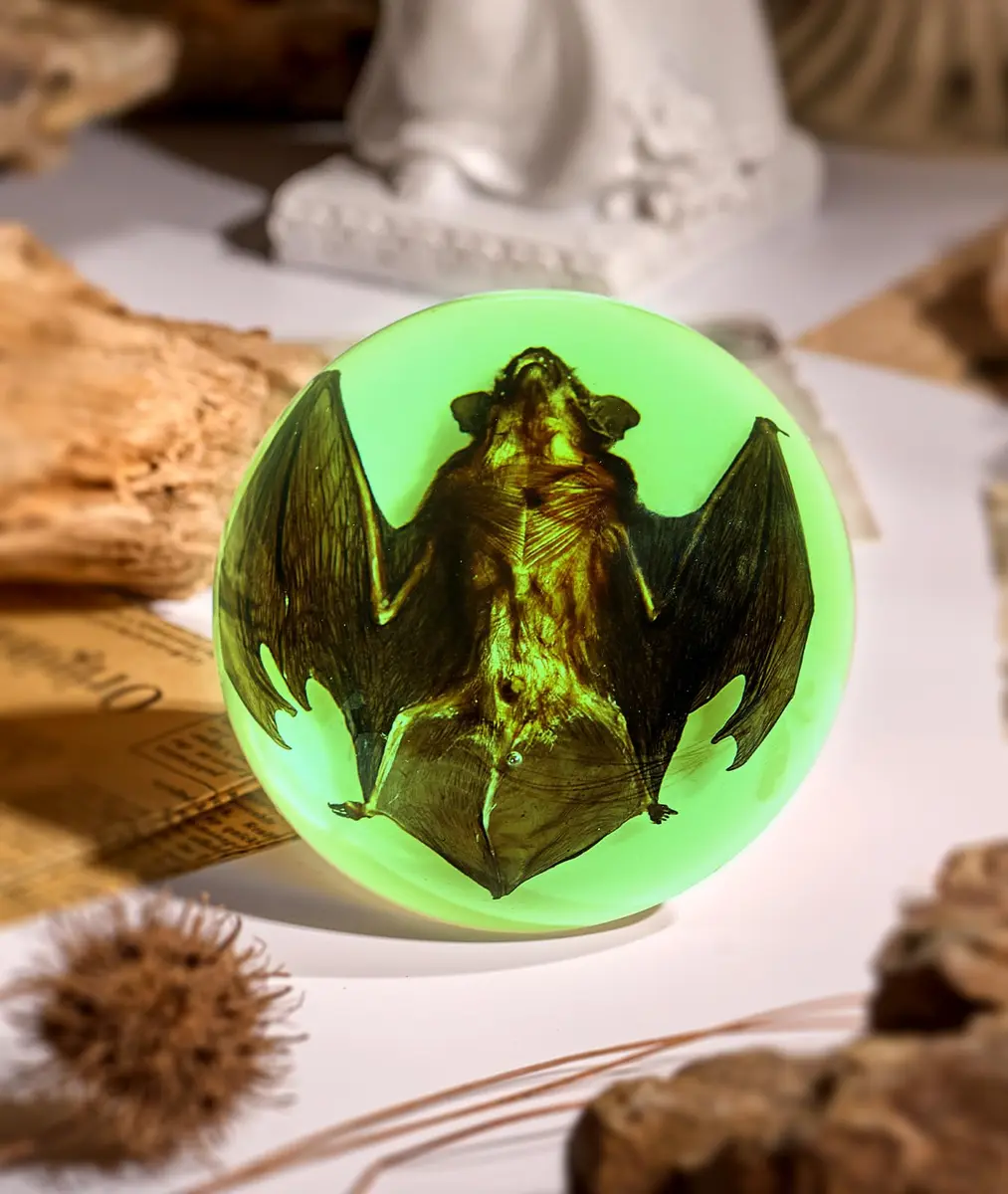 WAVEBEEXS Taxidermy Bat in Resin | Luminous Macabre Decor & Educational Specimen - main product image