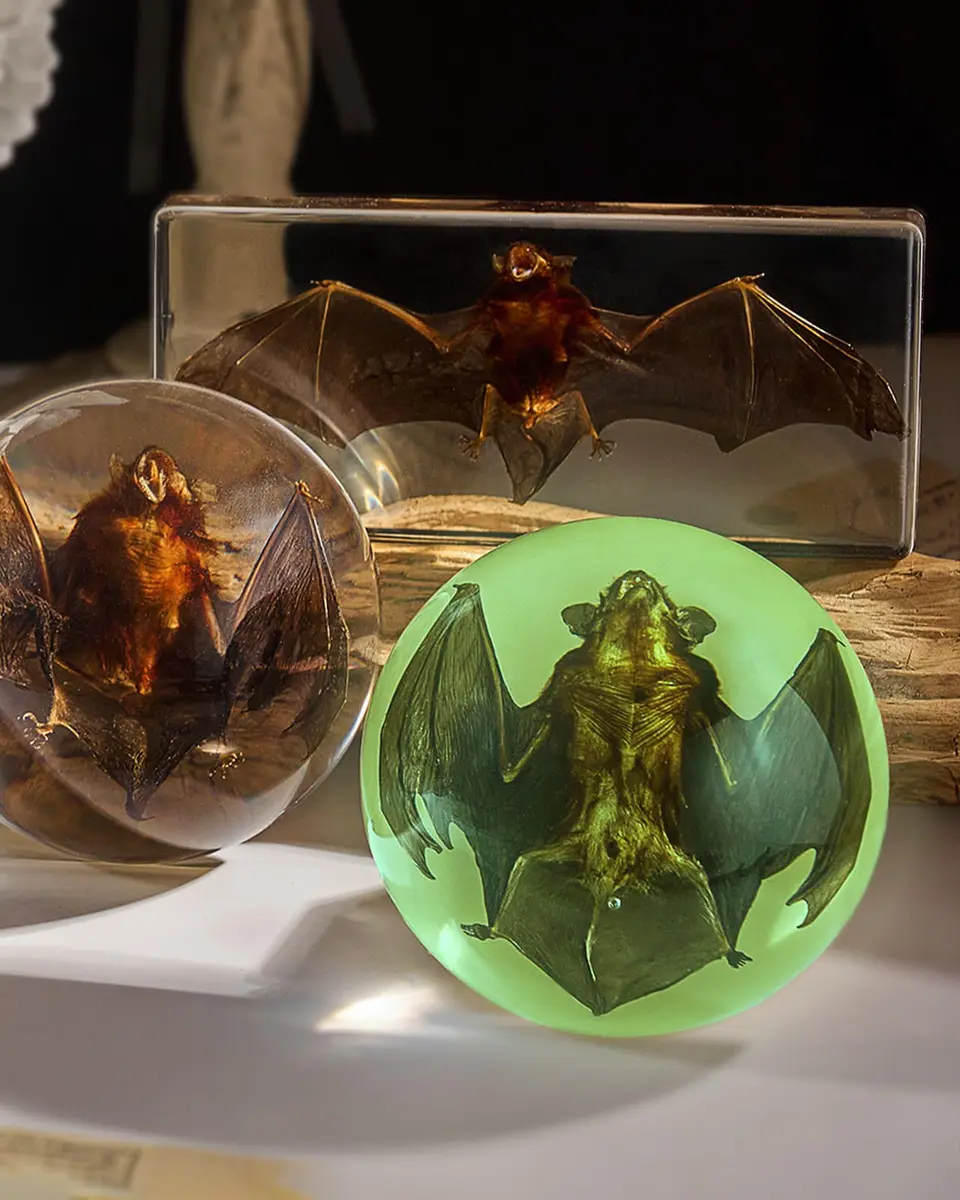 WAVEBEEXS Taxidermy Bat in Resin | Luminous Macabre Decor & Educational Specimen - view 5