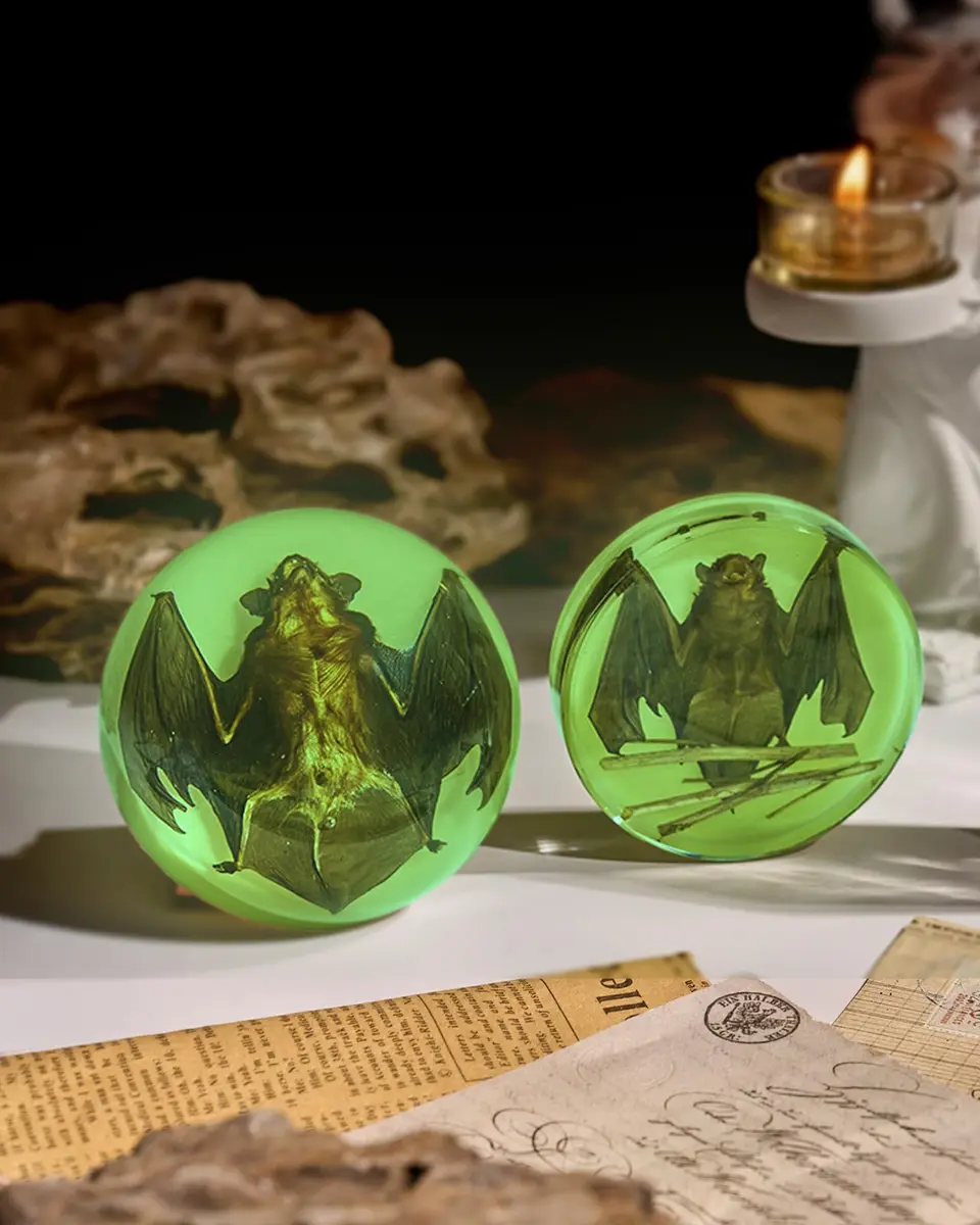 WAVEBEEXS Taxidermy Bat in Resin | Luminous Macabre Decor & Educational Specimen - view 6