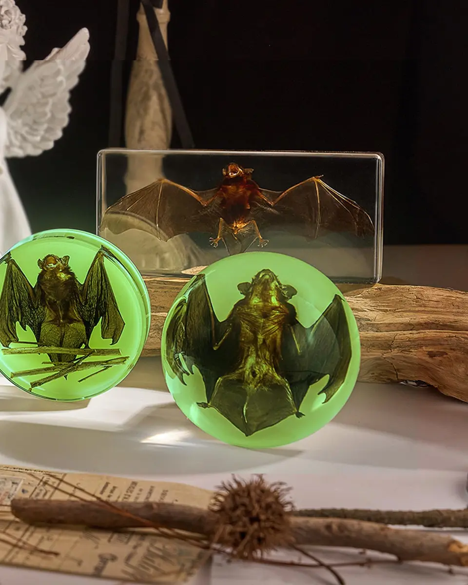 WAVEBEEXS Taxidermy Bat in Resin | Luminous Macabre Decor & Educational Specimen - view 7
