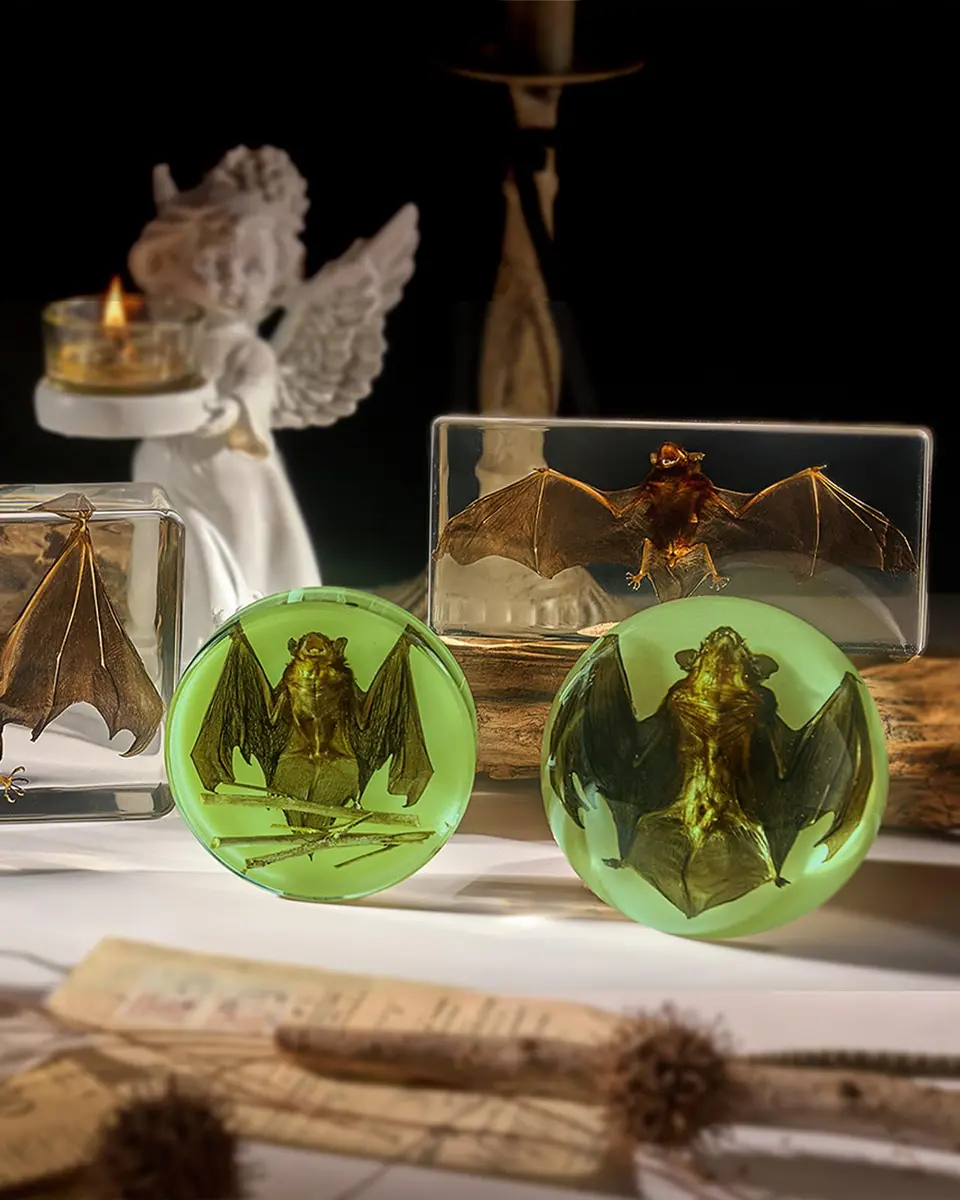 WAVEBEEXS Taxidermy Bat in Resin | Luminous Macabre Decor & Educational Specimen - view 4