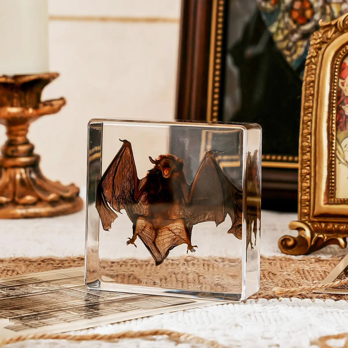 WAVEBEEXS Taxidermy Bat in Resin 3x3x1in | Macabre Animal Specimen for Education & Decor - view 5
