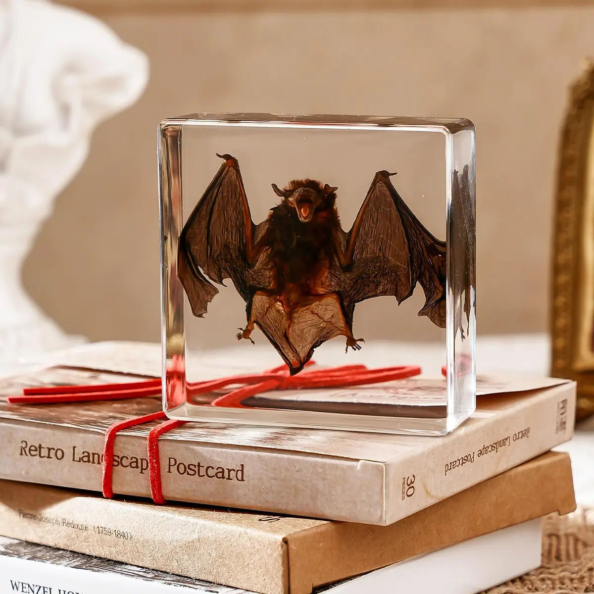 WAVEBEEXS Taxidermy Bat in Resin 3x3x1in | Macabre Animal Specimen for Education & Decor - view 2