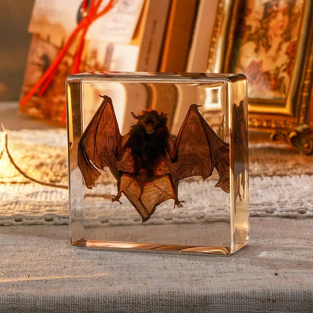 WAVEBEEXS Taxidermy Bat in Resin 3x3x1in | Macabre Animal Specimen for Education & Decor - view 3
