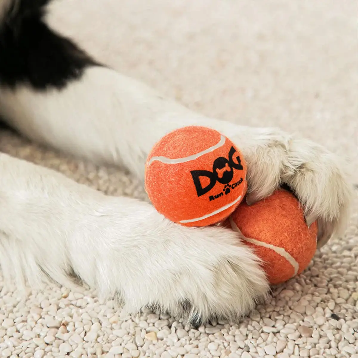INSUM Small Tennis Balls for Dogs 6 Pack 2.0" Squeaky Dog Balls for Small Dogs | Bright Colors & High Bounce - view 6