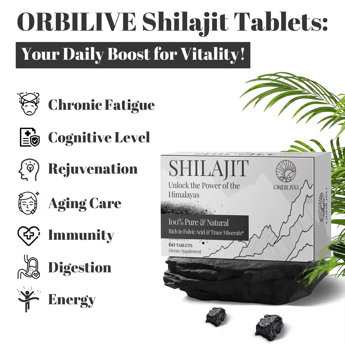 ORBILIVE Shilajit Tablets 1000 MG | Himalayan Organic, Rich in Fulvic Acid & 85+ Trace Minerals for Energy & Immunity (70-120 chars) - view 3