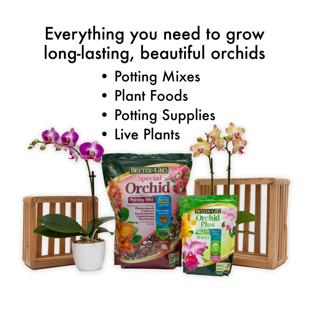 Better-Gro Orchid Plus Fertilizer 16 oz (454 g) | Urea-Free Formula for Vigorous Growth - view 5