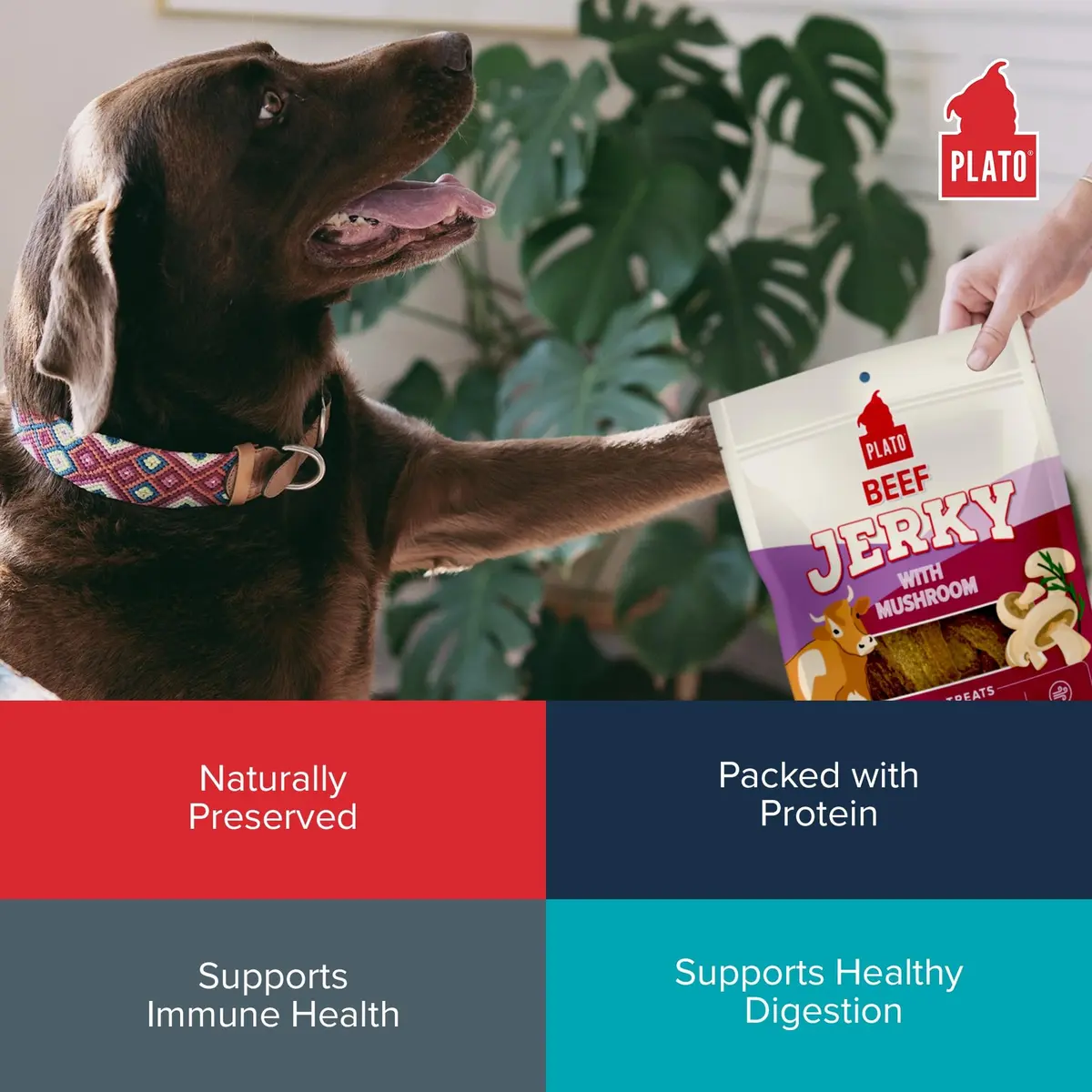 PLATO Dog Jerky Treats Beef & Mushroom 7oz | Air-Dried, Grain-Free, Supports Digestion - view 5
