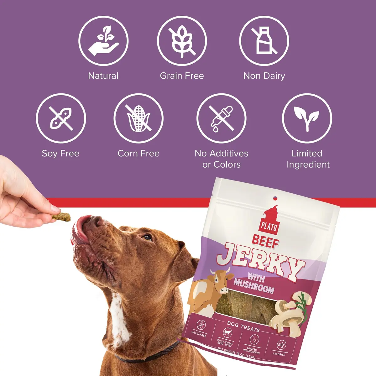 PLATO Dog Jerky Treats Beef & Mushroom 7oz | Air-Dried, Grain-Free, Supports Digestion - view 7