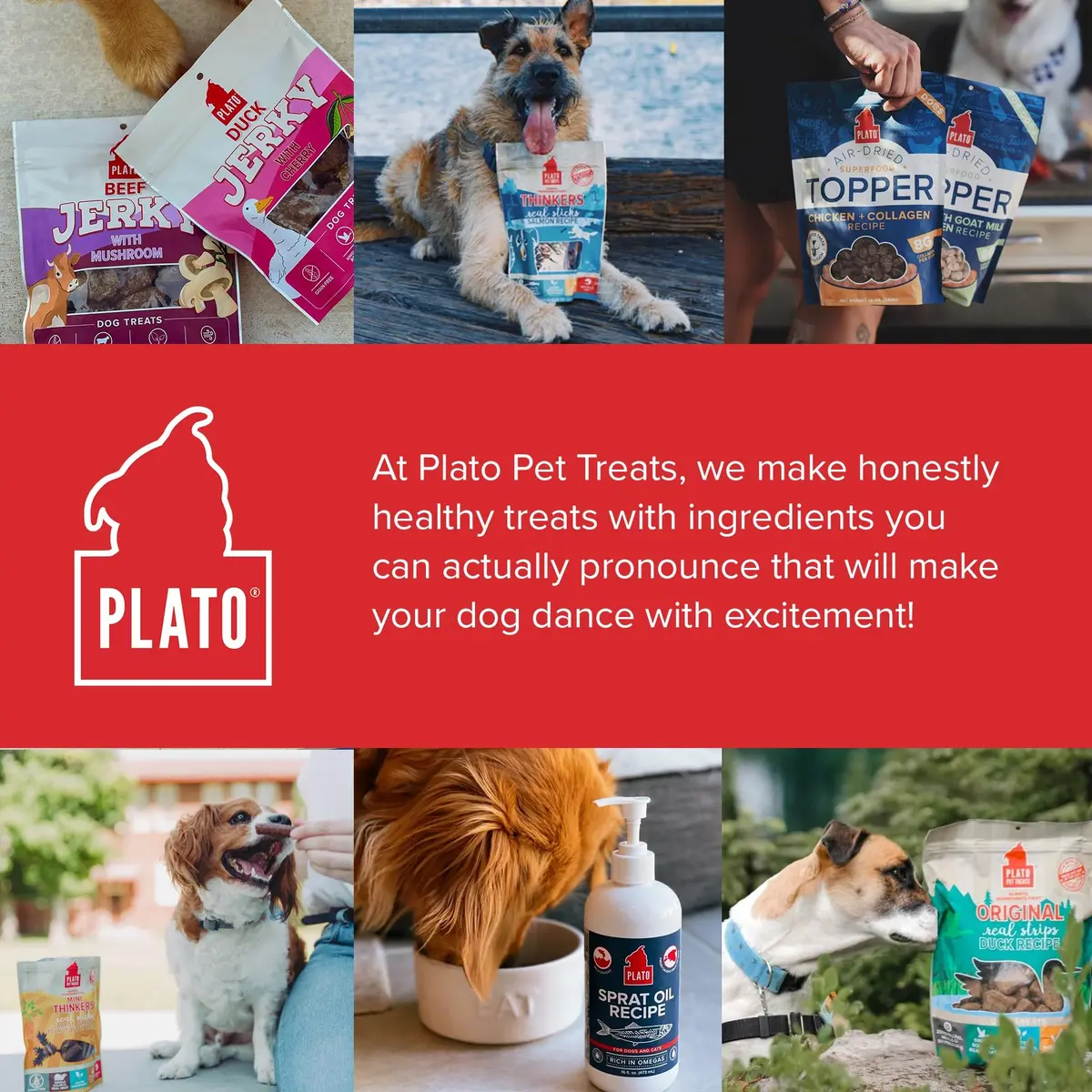 PLATO Dog Jerky Treats Beef & Mushroom 7oz | Air-Dried, Grain-Free, Supports Digestion - view 8