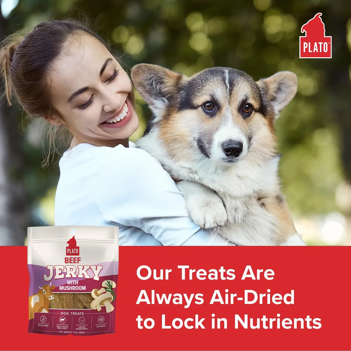 PLATO Dog Jerky Treats Beef & Mushroom 7oz | Air-Dried, Grain-Free, Supports Digestion - view 3