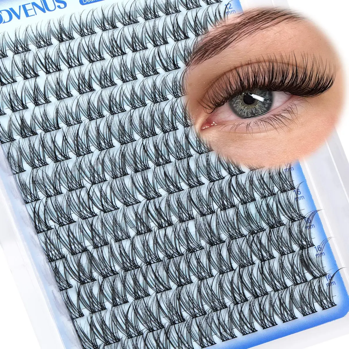 Goddvenus Wispy Lash Clusters 144pcs D Curl | Natural Individual Lashes for DIY Glamour - main product image