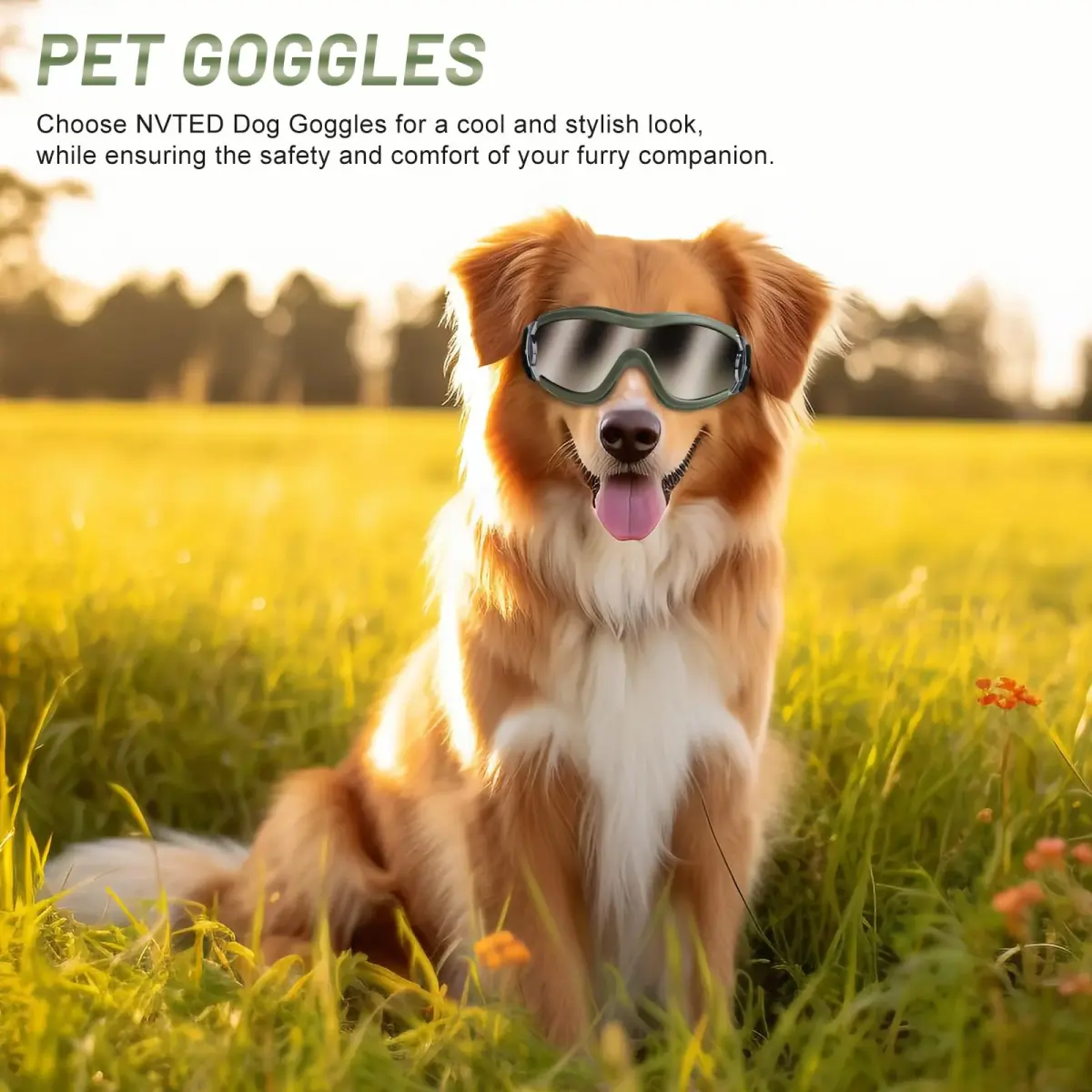 NVTED Dog Sunglasses Goggles for Medium to Large Dogs | UV Protection, Wind & Dust Shield (Green) - view 5